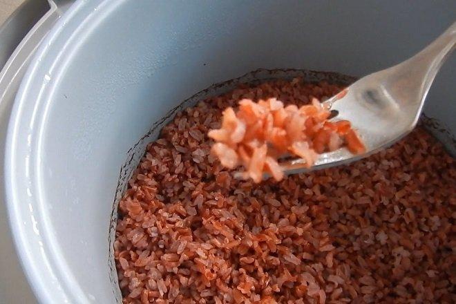 cơm gạo lức để được bao lâu