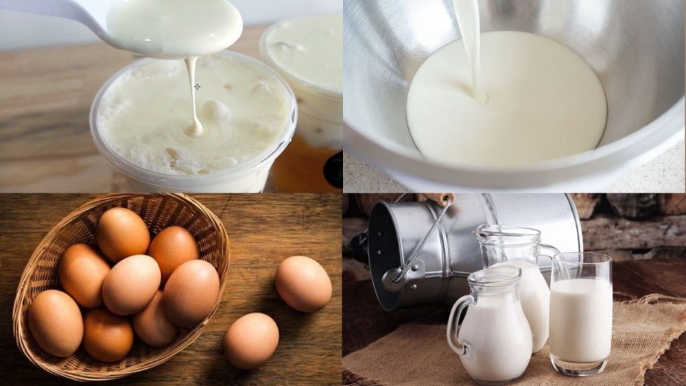 Nguyên liệu món ăn sữa tươi kem trứng trân châu đường đen