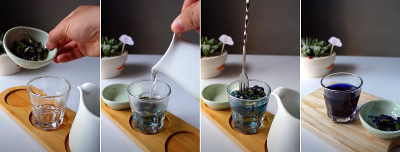 Cách nấu trà sữa hoa đậu biếc ủ nước hoa đậu biếc