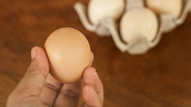 Nên chọn quả trứng có có vỏ màu nâu sẫm, đều màu, không xuất hiện vết nứt