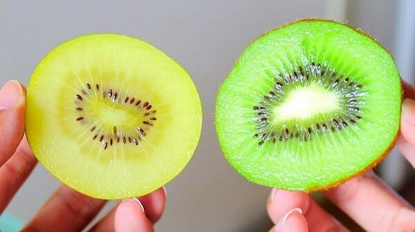 Hình ảnh quả kiwi xanh và quả kiwi vàng