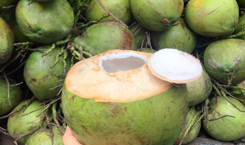 Cách làm thạch rau câu matcha hương dừa: Chặt dừa giữ nắp
