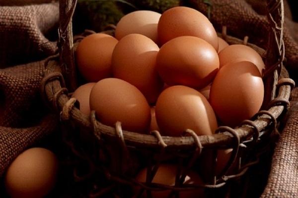 trứng gà tươi tốt cho sức khỏe