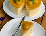 Bánh phô-mai vị chanh dây- xoài ? bước làm 6 hình